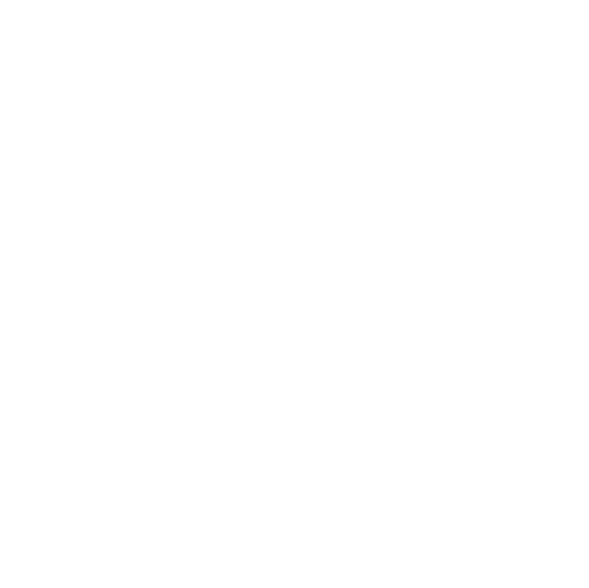 Logo da Lasmar Car Detail